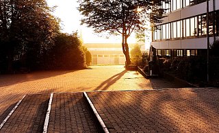 Flitzer Ernie hat sich laut Polizei auf einem Schulhof entblößt. - Symbolbild: Pixabay Flitzer Ernie hat sich laut Polizei auf einem Schulhof entblößt. - Symbolbild: Pixabay