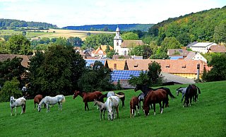 Schloss und Kirche prägen immer noch das Ortsbild von Rheder, das an diesem Wochenende sein 900-jähriges Bestehen feiert. Foto: Johannes Bröker - Johannes Bröker Schloss und Kirche prägen immer noch das Ortsbild von Rheder, das an diesem Wochenende sein 900-jähriges Bestehen feiert. Foto: Johannes Bröker - Johannes Bröker