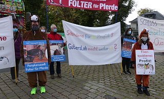 Unermüdlich hatten die Tierschützerinnen und Tierschützer gegen Ponykarussells in Gütersloh protestiert. - Verein Achtung für Tiere Unermüdlich hatten die Tierschützerinnen und Tierschützer gegen Ponykarussells in Gütersloh protestiert. - Verein Achtung für Tiere