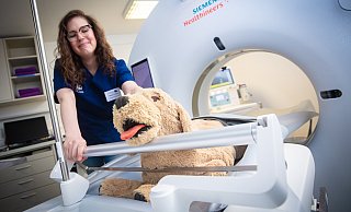 Das hochmoderne CT-Gerät von Siemens werde auch in der Humanmedizin verwendet, berichtet Wiebke Peukert, Oberärztin für Bildgebung im Tierärztlichen Zentrum. - Mike-Dennis Müller Das hochmoderne CT-Gerät von Siemens werde auch in der Humanmedizin verwendet, berichtet Wiebke Peukert, Oberärztin für Bildgebung im Tierärztlichen Zentrum. - Mike-Dennis Müller