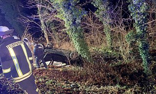 Einsatzkräfte der Feuerwehr Büren befreien den eingeklemmten Fahrer mit hydraulischen Werkzeugen aus dem Wrack des Peugeot. - Feuerwehr Büren Einsatzkräfte der Feuerwehr Büren befreien den eingeklemmten Fahrer mit hydraulischen Werkzeugen aus dem Wrack des Peugeot. - Feuerwehr Büren