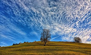 Das Wochenende soll in NRW recht sonnig werden. - picture alliance / ZUMAPRESS.com Das Wochenende soll in NRW recht sonnig werden. - picture alliance / ZUMAPRESS.com