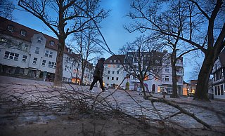Die meisten Unfälle ereigneten sich durch umstürzende Bäume und herabfallende Äste. - Sarah Jonek Die meisten Unfälle ereigneten sich durch umstürzende Bäume und herabfallende Äste. - Sarah Jonek