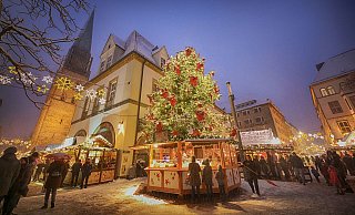 In OWL haben die Weihnachtsmärkte geöffnet. - Sarah Jonek In OWL haben die Weihnachtsmärkte geöffnet. - Sarah Jonek