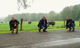 Wisentförster Rainer Glunz (v. l.), Johannes Thonemann, Bezirksverwaltungsstellenleiter aus Scherfede, und Roland Schockemöhle, Leiter des Regionalforstamtes Hochstift, begutachten die neue Decke. - Wald und Holz Wisentförster Rainer Glunz (v. l.), Johannes Thonemann, Bezirksverwaltungsstellenleiter aus Scherfede, und Roland Schockemöhle, Leiter des Regionalforstamtes Hochstift, begutachten die neue Decke. - Wald und Holz