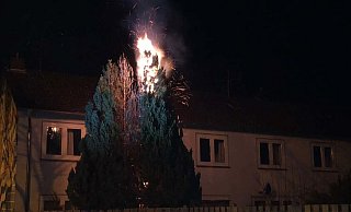 An der Rathenaustraße wurde ein Lebensbaum angezündet. - Polizei Paderborn An der Rathenaustraße wurde ein Lebensbaum angezündet. - Polizei Paderborn