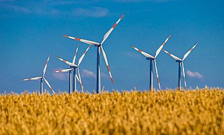 1.000 Meter Mindestabstand von Windrädern zu Wohngebieten, so steht es im Gesetzentwurf. - Pixabay (Symbolbild) 1.000 Meter Mindestabstand von Windrädern zu Wohngebieten, so steht es im Gesetzentwurf. - Pixabay (Symbolbild)