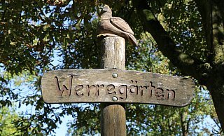 Alles neu in den Herforder Werregärten. Die Pläne stehen, nun geht es an die Umsetzung. Noch 2025 soll es losgehen. - Stadt Herford Alles neu in den Herforder Werregärten. Die Pläne stehen, nun geht es an die Umsetzung. Noch 2025 soll es losgehen. - Stadt Herford