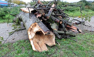 Der Sturm "Sabine" beschäftigt auch den Kreis Minden-Lübbecke. - (Symbolbild): Frank-Michael Kiel-Steinkamp Der Sturm "Sabine" beschäftigt auch den Kreis Minden-Lübbecke. - (Symbolbild): Frank-Michael Kiel-Steinkamp