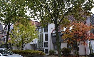 An der Renteistraße sollen 28 Bäume gefällt werden, wie hier vor dem ev. Gemeindehaus. - Mareike Patock An der Renteistraße sollen 28 Bäume gefällt werden, wie hier vor dem ev. Gemeindehaus. - Mareike Patock