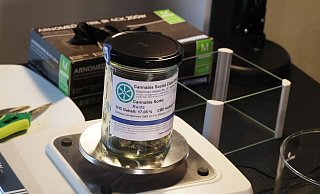Vor wenigen Tagen wurde im Cannabis Social Club Erfurt erstmals Genusscannabis an Vereinsmitglieder ausgegeben. - Bodo Schackow/dpa Vor wenigen Tagen wurde im Cannabis Social Club Erfurt erstmals Genusscannabis an Vereinsmitglieder ausgegeben. - Bodo Schackow/dpa