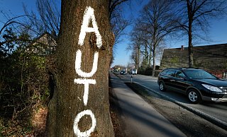 Die Bäume entlang der B 61 müssten einem vierspurigen Ausbau weichen. Derzeit rollen täglich 42.000 Kfz über die Bundesstraße. Die Staus nehmen zu. - Andreas Frücht Die Bäume entlang der B 61 müssten einem vierspurigen Ausbau weichen. Derzeit rollen täglich 42.000 Kfz über die Bundesstraße. Die Staus nehmen zu. - Andreas Frücht