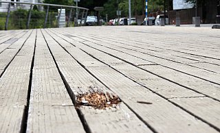In den Bohlen auf den beiden Gehwegseiten der Schützenbrücken tun sich immer wieder Löcher auf. Nun sollen die maroden Holzplanken durch Kunststoffprofile ersetzt werden. - Heidi Froreich In den Bohlen auf den beiden Gehwegseiten der Schützenbrücken tun sich immer wieder Löcher auf. Nun sollen die maroden Holzplanken durch Kunststoffprofile ersetzt werden. - Heidi Froreich