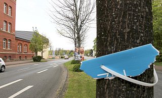 Immer wieder haben Parteien während ihrer Wahlkämpfe mit zerstörten Plakaten – wie hier 2019 in Minden – zu kämpfen. Das sorgt nun auch in Porta Westfalica für reichlich Unmut. Symbolfoto (Archiv): Nadine Schwan - Schwan,Nadine Immer wieder haben Parteien während ihrer Wahlkämpfe mit zerstörten Plakaten – wie hier 2019 in Minden – zu kämpfen. Das sorgt nun auch in Porta Westfalica für reichlich Unmut. Symbolfoto (Archiv): Nadine Schwan - Schwan,Nadine