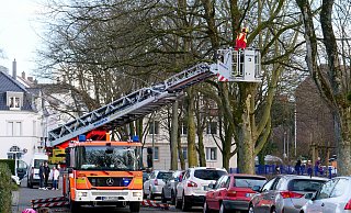 Vorm Korb einer Drehleiter aus versuchen Feuerwehrleute am Riemekepark vergeblich, einen abgebrochenen Ast in großer Höhe zu erreichen. Leider stehen die geparkten Autos im Weg, so dass nur die Möglichkeit bleibt, den Gefahrenbereich abzusperren. - Ralph Meyer Vorm Korb einer Drehleiter aus versuchen Feuerwehrleute am Riemekepark vergeblich, einen abgebrochenen Ast in großer Höhe zu erreichen. Leider stehen die geparkten Autos im Weg, so dass nur die Möglichkeit bleibt, den Gefahrenbereich abzusperren. - Ralph Meyer