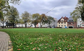 Das Bild des Riemekeparks wird sich in den kommenden Monaten durch zahlreiche Neupflanzungen wieder verändern. - Lena Henning Das Bild des Riemekeparks wird sich in den kommenden Monaten durch zahlreiche Neupflanzungen wieder verändern. - Lena Henning