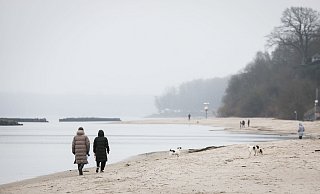 Spaziergänger mit Hunden sind bei leichtem Nieselregen am Strand von Schilksee bei Kiel. - Christian Charisius/dpa Spaziergänger mit Hunden sind bei leichtem Nieselregen am Strand von Schilksee bei Kiel. - Christian Charisius/dpa