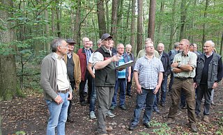 Mitten im Wald: Vor Ort erläuterte Peter Heidmeier anhand eniger ausgesuchter Beispiele die Schadenslage. - Klaus Frensing Mitten im Wald: Vor Ort erläuterte Peter Heidmeier anhand eniger ausgesuchter Beispiele die Schadenslage. - Klaus Frensing