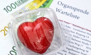 Das Thema Organspende ist am Montag Thema im Bundestag. - picture alliance Das Thema Organspende ist am Montag Thema im Bundestag. - picture alliance