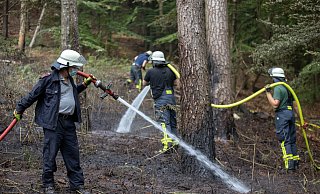 Mitte Mai erst brannte es direkt unterhalb der Hünenburg - vermutlich Brandstiftung. - Oliver Krato Mitte Mai erst brannte es direkt unterhalb der Hünenburg - vermutlich Brandstiftung. - Oliver Krato