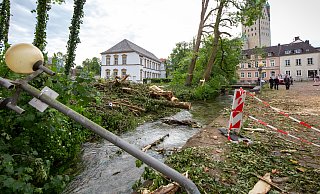 Der Geisselsche Garten in Paderborn ist durch den Tornado schwer beschädigt worden. - Niklas Tüns (Archivbild) Der Geisselsche Garten in Paderborn ist durch den Tornado schwer beschädigt worden. - Niklas Tüns (Archivbild)