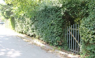 Die Kleingärten an der Weser sollen Parkflächen für die Landesgartenschau werden. - Manuela Puls Die Kleingärten an der Weser sollen Parkflächen für die Landesgartenschau werden. - Manuela Puls