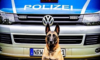 Ein Spürhund unterstützte die Polizei bei der Suche nach der Seniorin. - Polizei Ein Spürhund unterstützte die Polizei bei der Suche nach der Seniorin. - Polizei