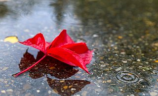 In NRW ist der Herbst angekommen, die Zeit der hohen Temperaturen ist vorerst zu Ende. - dpa In NRW ist der Herbst angekommen, die Zeit der hohen Temperaturen ist vorerst zu Ende. - dpa