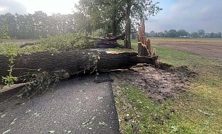 In Friedewalde stürzten wegen des Unwetters Bäume auf die Straße. Foto: - privat In Friedewalde stürzten wegen des Unwetters Bäume auf die Straße. Foto: - privat