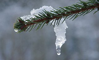 Böses Erwachen nach dem Tauwetter. - Symbolfoto Böses Erwachen nach dem Tauwetter. - Symbolfoto