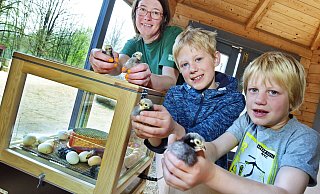 Andrea Günnemann (v.l.), Theo (9) und Lutz (7) präsentieren die jüngsten Bewohner des Tierparks. - Barbara Franke Andrea Günnemann (v.l.), Theo (9) und Lutz (7) präsentieren die jüngsten Bewohner des Tierparks. - Barbara Franke