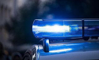 Die Polizei verfolgt am Sonntagabend zwei Jugendliche auf einem Quad. Auch ein Spürhund kommt zum Einsatz. - Pixabay Die Polizei verfolgt am Sonntagabend zwei Jugendliche auf einem Quad. Auch ein Spürhund kommt zum Einsatz. - Pixabay