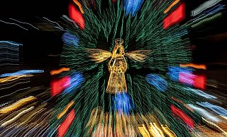 Die Baum-Preise für Weihnachtsbäume bleiben dieses Jahr wohl ungefähr auf Vorjahresniveau. - Dieter Menne/dpa Die Baum-Preise für Weihnachtsbäume bleiben dieses Jahr wohl ungefähr auf Vorjahresniveau. - Dieter Menne/dpa