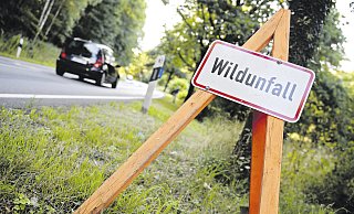 Markierung: Das Schild auf dem roten Holz-Dreibein weist auf einen Wildunfall hin. - picture alliance/dpa Markierung: Das Schild auf dem roten Holz-Dreibein weist auf einen Wildunfall hin. - picture alliance/dpa