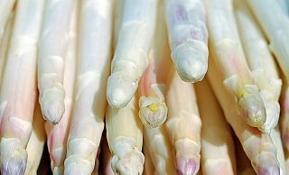 Spargel ist bei den Deutschen sehr beliebt. Spargel ist bei den Deutschen sehr beliebt.