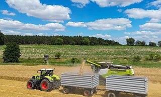 Die Koalition hatte angekündigt, bis zum Sommer Maßnahmen zur Entlastung von Landwirten zu beschließen. - Patrick Pleul/dpa Die Koalition hatte angekündigt, bis zum Sommer Maßnahmen zur Entlastung von Landwirten zu beschließen. - Patrick Pleul/dpa