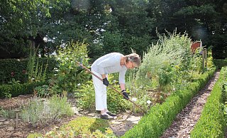Der Bauerngarten macht so viel Arbeit, dass ehrenamtliche Helfer wie Goitte Auf dem Kampe sie kaum noch bewältigen können. Die Buchsbaumhecken, die auf diesem sommerlichen Foto noch zu sehen sind, hat der Zünsler mittlerweile vernichtet. - Heidi Froreich Der Bauerngarten macht so viel Arbeit, dass ehrenamtliche Helfer wie Goitte Auf dem Kampe sie kaum noch bewältigen können. Die Buchsbaumhecken, die auf diesem sommerlichen Foto noch zu sehen sind, hat der Zünsler mittlerweile vernichtet. - Heidi Froreich