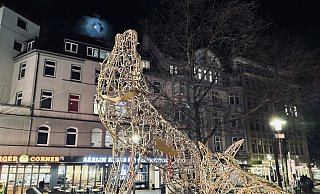 Die lichtlosen Wölfe heulen den Mond an - der leuchtet durch die Wolken. - Stefan Becker Die lichtlosen Wölfe heulen den Mond an - der leuchtet durch die Wolken. - Stefan Becker