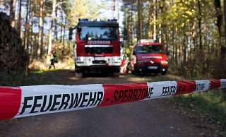 Die Paderborner Feuerwehr muss besonders im Sommer immer mal wieder zu Waldbränden ausrücken. - Pixabay (Symbolbild) Die Paderborner Feuerwehr muss besonders im Sommer immer mal wieder zu Waldbränden ausrücken. - Pixabay (Symbolbild)