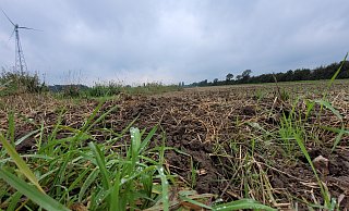 Parallel zur Autobahn 30 in Ahle soll auf landwirtschaftlichen Flächen eine große Solar-Anlage entstehen. Das Unternehmen Bioconstruct hat dazu bereits Gespräche mit betroffenen Landwirten und Grundstückseigentümern geführt. - Florian Weyand Parallel zur Autobahn 30 in Ahle soll auf landwirtschaftlichen Flächen eine große Solar-Anlage entstehen. Das Unternehmen Bioconstruct hat dazu bereits Gespräche mit betroffenen Landwirten und Grundstückseigentümern geführt. - Florian Weyand