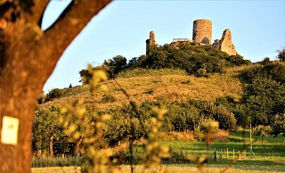 Der malerische Desenberg bei Warburg ist als Wanderziel ideal. - Simone Flörke Der malerische Desenberg bei Warburg ist als Wanderziel ideal. - Simone Flörke