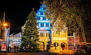 Vor dem illuminierten Rathaus steht der bislang größte Weihnachtsbaum - 150 Meter Lichterkette bringen ihn zum Strahlen. - Stadt Paderborn/Besim Mazhiqi Vor dem illuminierten Rathaus steht der bislang größte Weihnachtsbaum - 150 Meter Lichterkette bringen ihn zum Strahlen. - Stadt Paderborn/Besim Mazhiqi