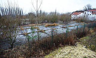 Zwischen den dicken Zementplatten auf der Industriebrache wachsen seit Jahrzehnten Wildkräuter und junge Bäume in die Höhe. - Barbara Franke Zwischen den dicken Zementplatten auf der Industriebrache wachsen seit Jahrzehnten Wildkräuter und junge Bäume in die Höhe. - Barbara Franke