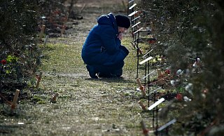 Die Zahl der russischen Verluste im Ukraine-Krieg ist zuletzt deutlich gestiegen. (Symbolbild) - Uncredited/AP/dpa Die Zahl der russischen Verluste im Ukraine-Krieg ist zuletzt deutlich gestiegen. (Symbolbild) - Uncredited/AP/dpa