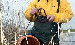 Nagetier-Falle: Eine solche Klappfalle fanden Spaziergänger im hohen Gras auf einem Feld in Bielefeld-Senne. Sie ist dafür da, größere Nagetiere wie Bisamratten zu fangen. - Symbolfoto: picture-alliance/ dpa Nagetier-Falle: Eine solche Klappfalle fanden Spaziergänger im hohen Gras auf einem Feld in Bielefeld-Senne. Sie ist dafür da, größere Nagetiere wie Bisamratten zu fangen. - Symbolfoto: picture-alliance/ dpa