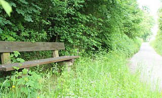 Das Liebestal genannte Waldstück am Maschbach in Borgentreich soll durch einen exklusiv gestalteten Rad- und Wanderrastplatz touristisch erheblich aufgewertet werden. - Burkhard Battran Das Liebestal genannte Waldstück am Maschbach in Borgentreich soll durch einen exklusiv gestalteten Rad- und Wanderrastplatz touristisch erheblich aufgewertet werden. - Burkhard Battran