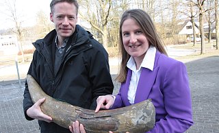Felicitas Demann, Leiterin des Naturkundemuseums Schloß Neuhaus, freut sich über die Dauerleihgabe vom Bürgermeister Matthias Möllers aus Altenbeken. - Uwe Müller Felicitas Demann, Leiterin des Naturkundemuseums Schloß Neuhaus, freut sich über die Dauerleihgabe vom Bürgermeister Matthias Möllers aus Altenbeken. - Uwe Müller