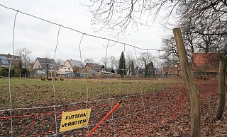 Der Bauantrag für eine neue Kita mit 90 Plätzen auf der landwirtschaftlich genutzten Fläche im Winkel von Welplagestraße und Heckenweg ist bereits gestellt. - Rainer Holzkamp Der Bauantrag für eine neue Kita mit 90 Plätzen auf der landwirtschaftlich genutzten Fläche im Winkel von Welplagestraße und Heckenweg ist bereits gestellt. - Rainer Holzkamp