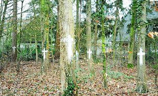 Etliche Bäume wurden plötzlich mit weißen Kreuzen markiert. - Heiko Kaiser Etliche Bäume wurden plötzlich mit weißen Kreuzen markiert. - Heiko Kaiser