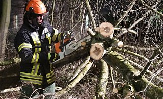 Vor allem umgestürzte Bäume hielten die Feuerwehr im Kreis Gütersloh in der Sturmnacht auf Trab, wie hier am Stadtring Sundern. - Andreas Eickhoff Vor allem umgestürzte Bäume hielten die Feuerwehr im Kreis Gütersloh in der Sturmnacht auf Trab, wie hier am Stadtring Sundern. - Andreas Eickhoff